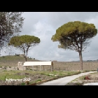 IMMAGINI DI VITO SOLDANO - di Giuseppe Caruso...jpg